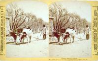 Mex. Plow Old Noah's Patent used by Tesuque Ind's