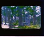 [Untitled]
