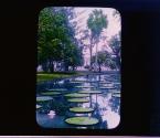 [Untitled]