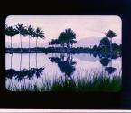 [Untitled]