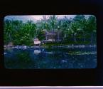 [Untitled]