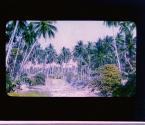 [Untitled]