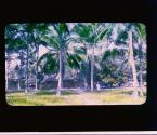 [Untitled]