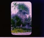 [Untitled]