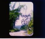 [Untitled]