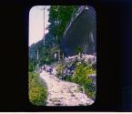 [Untitled]