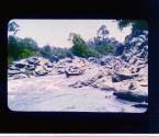 [Untitled]
