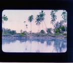 [Untitled]