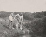 Eel-Picking in Suffolk Waters
