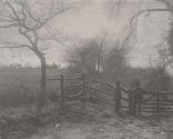 [Men by rail fence]