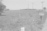 Genesee County, N.Y.
