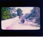 [Untitled]