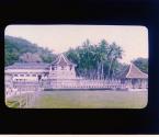 [Untitled]