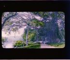 [Untitled]