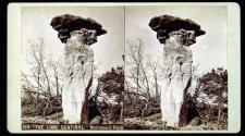 "The Lone Sentinal." Monument Park.