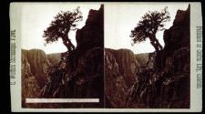 Grand Cañon of the Arkansas.