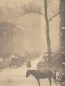The Street, Fifth Avenue