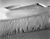 Dunes, Oceano