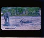 [Untitled]