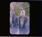 [Untitled]