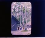 [Untitled]
