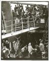 The Steerage