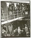 The Steerage