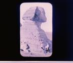 [The Sphinx]