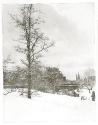 A Winter Sky – Central Park