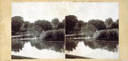 Spring Grove