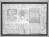 War Posters