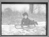 Sled Smile/(Corydon)