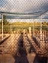 Turtle Hatchery; South Beach, Vero Beach, Florida