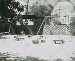Playground Still Life