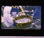 [Untitled]