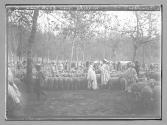 Boufarik marche aux bestiaux