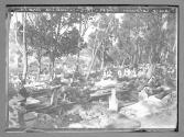 France Colonies-Alger cimetiere arabe