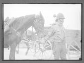 Policeman a Member of the State...PA His Horse