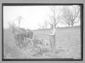 [Man Plowing with Horses]