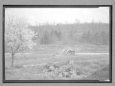 [Plowing/Tractor]