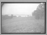 [Landscape]
