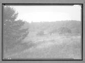 [Landscape]