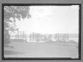 [Landscape]