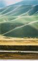 The Young Shepherd, Kunduz Province, Afghanistan