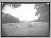 [Field]
