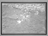 Harlem River Swim