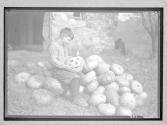[Boy Carving Pumpkins]