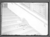 Newsie Asleep