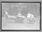 [Children and Shetland Ponies]
