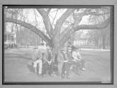 [Men around a Tree]